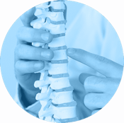 A chiroprator showing spine